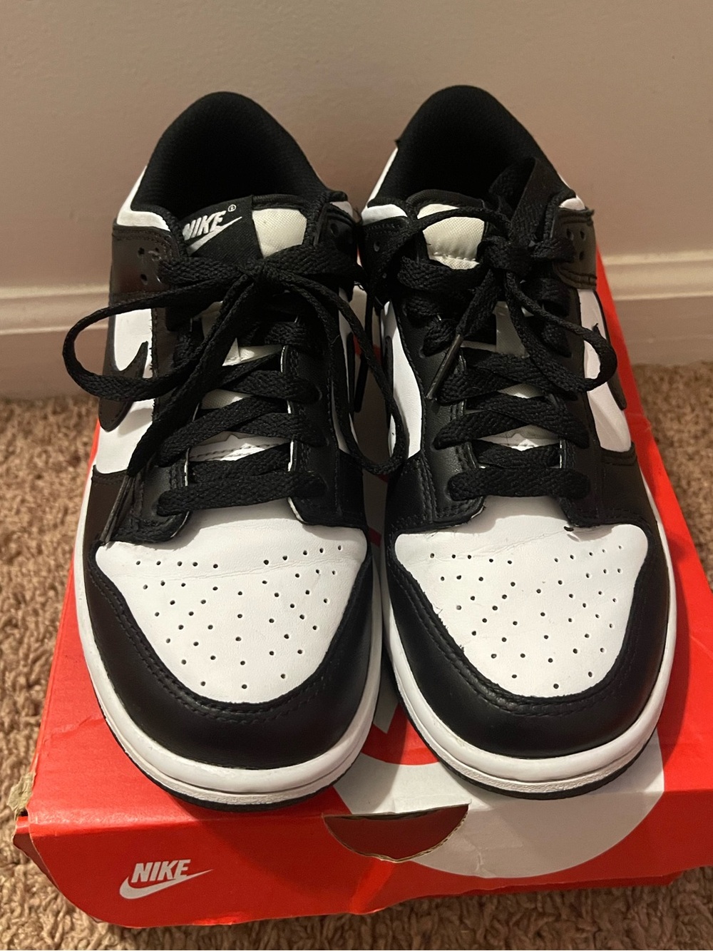 Nike Dunk